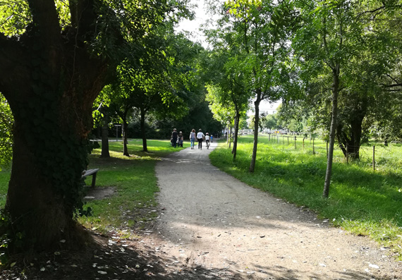 moriniere